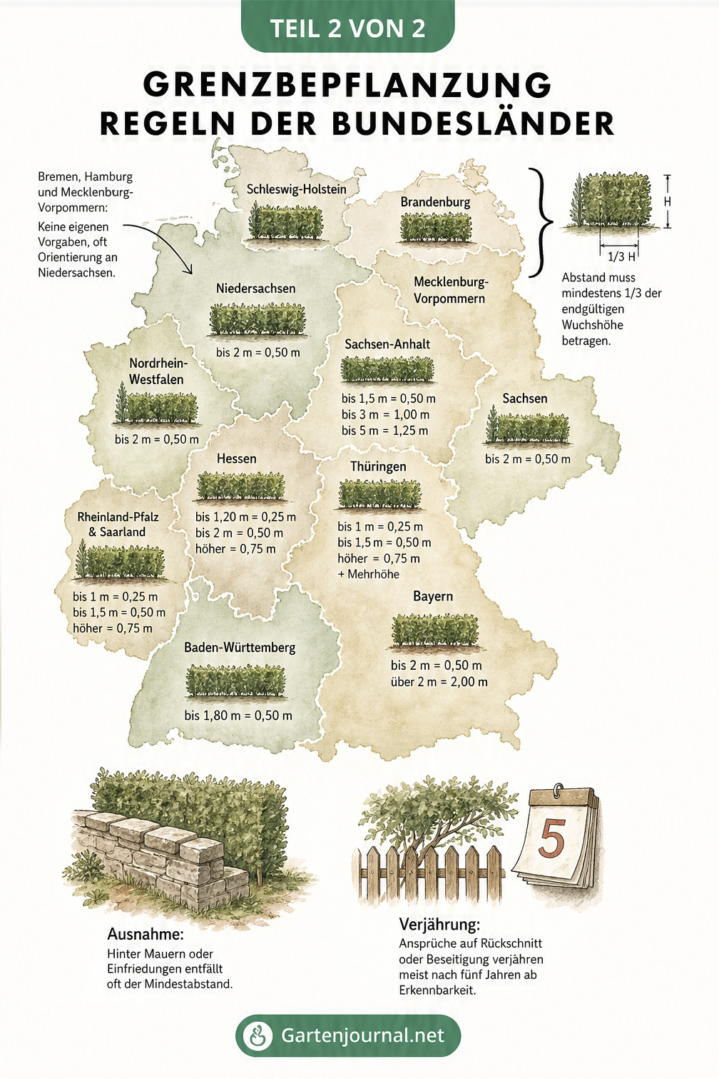 Illustrierte Deutschlandkarte mit den Abstandsregeln für Grenzbepflanzungen je nach Bundesland und Ausnahmen bei Mauern oder Verjährung.