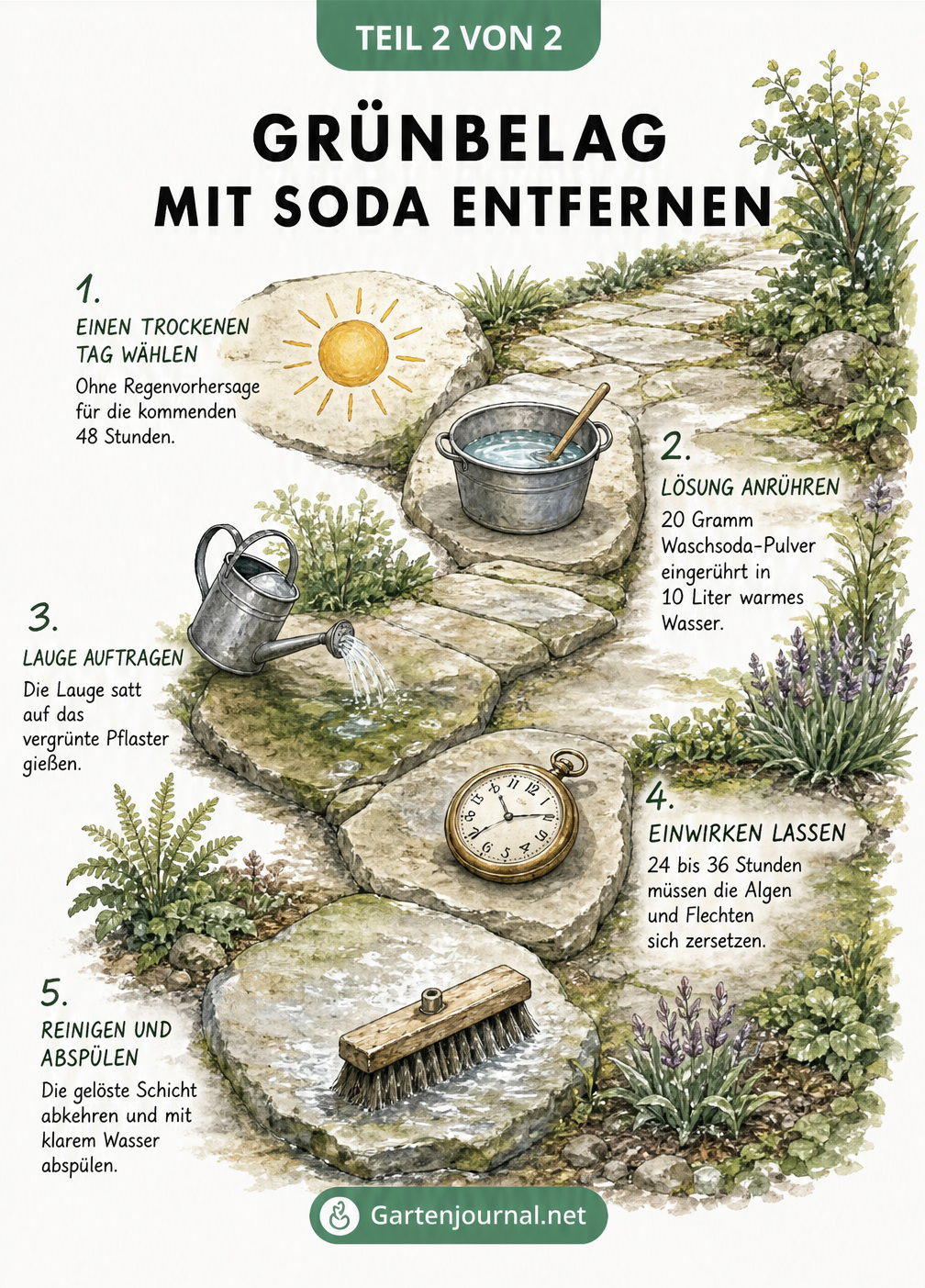 Schritt-für-Schritt-Anleitung zur Entfernung von Grünbelag mit Waschsoda auf einem Gartenweg