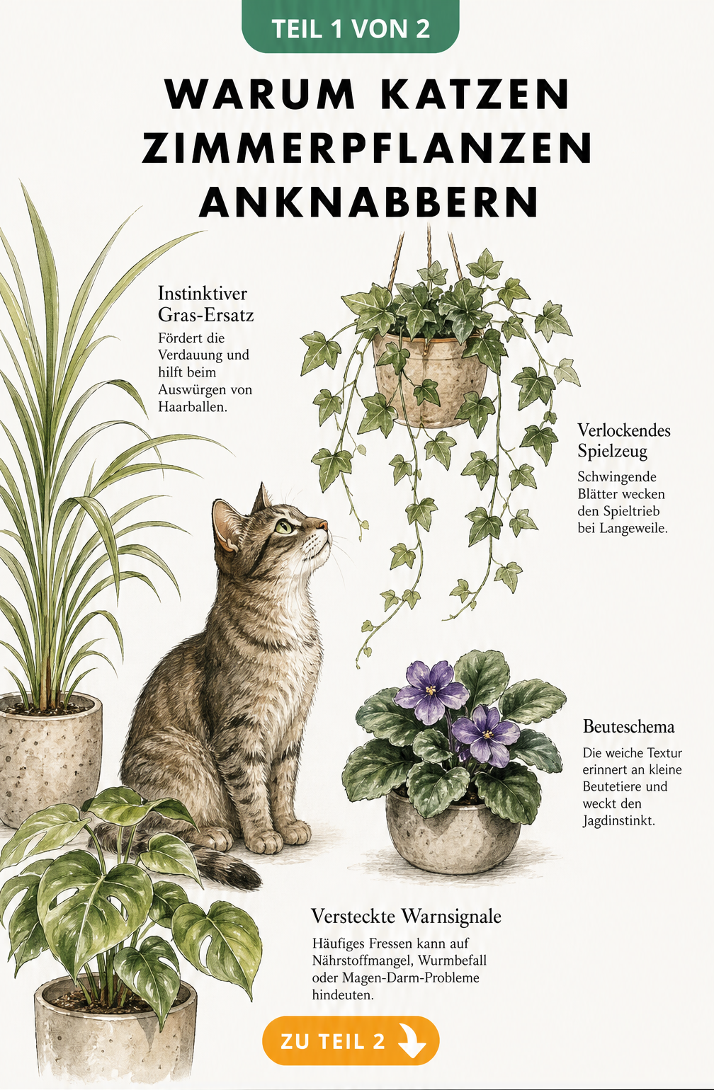 Aquarell-Illustration einer Katze umgeben von Zimmerpflanzen wie Arekapalme und Efeu mit Erklärungen, warum sie diese anknabbert