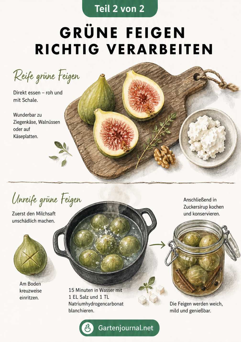 Illustration zur Verarbeitung von reifen und unreifen grünen Feigen auf einem Holzbrett und im Topf