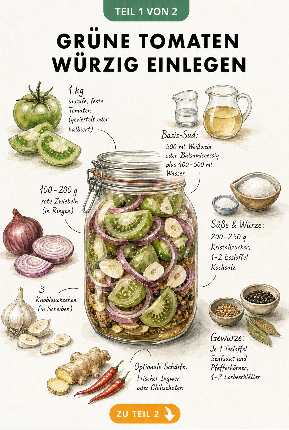 Illustration eines Einmachglases mit grünen Tomaten, Zwiebeln, Knoblauch und Gewürzen sowie den genauen Mengenangaben für den Sud.