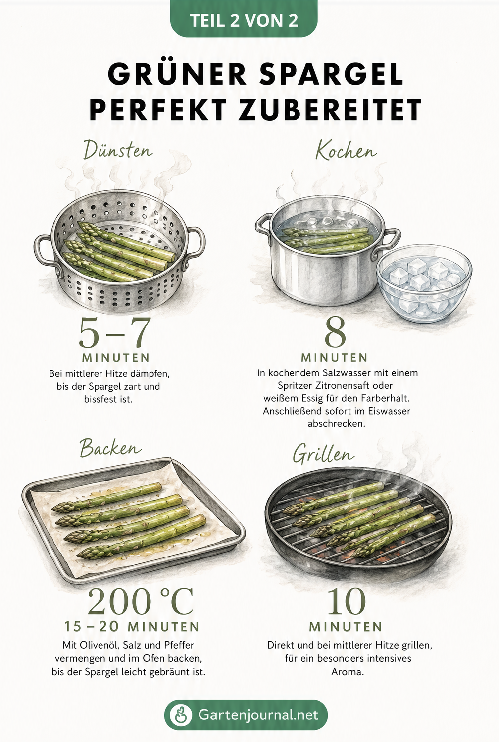 Vier minimalistische Illustrationen zu Garmethoden für grünen Spargel: Dünsten, Kochen, Backen und Grillen mit Zeiten und Temperaturen