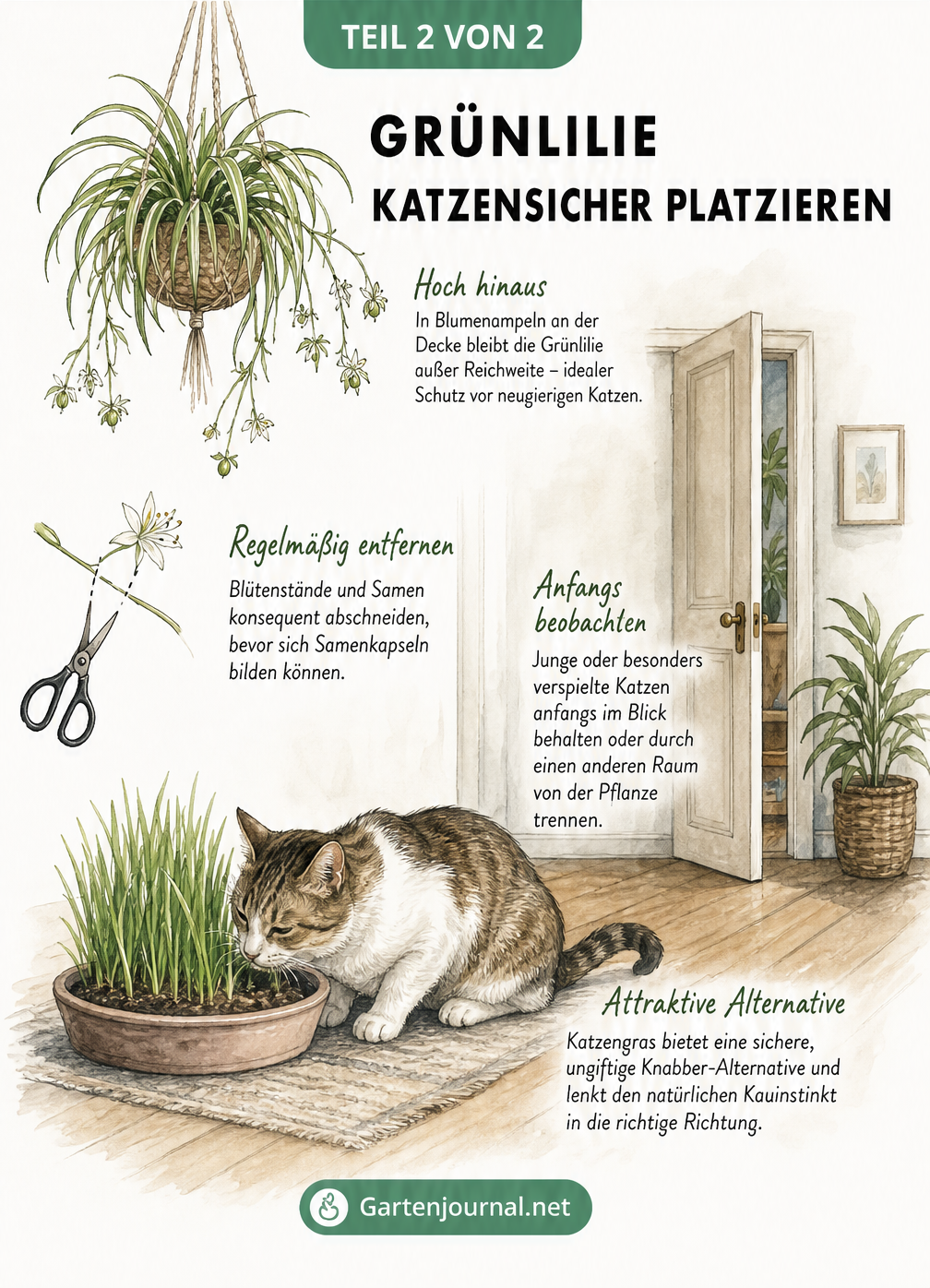 Illustration eines katzensicheren Raums mit Grünlilie in einer Blumenampel und Katzengras auf dem Boden