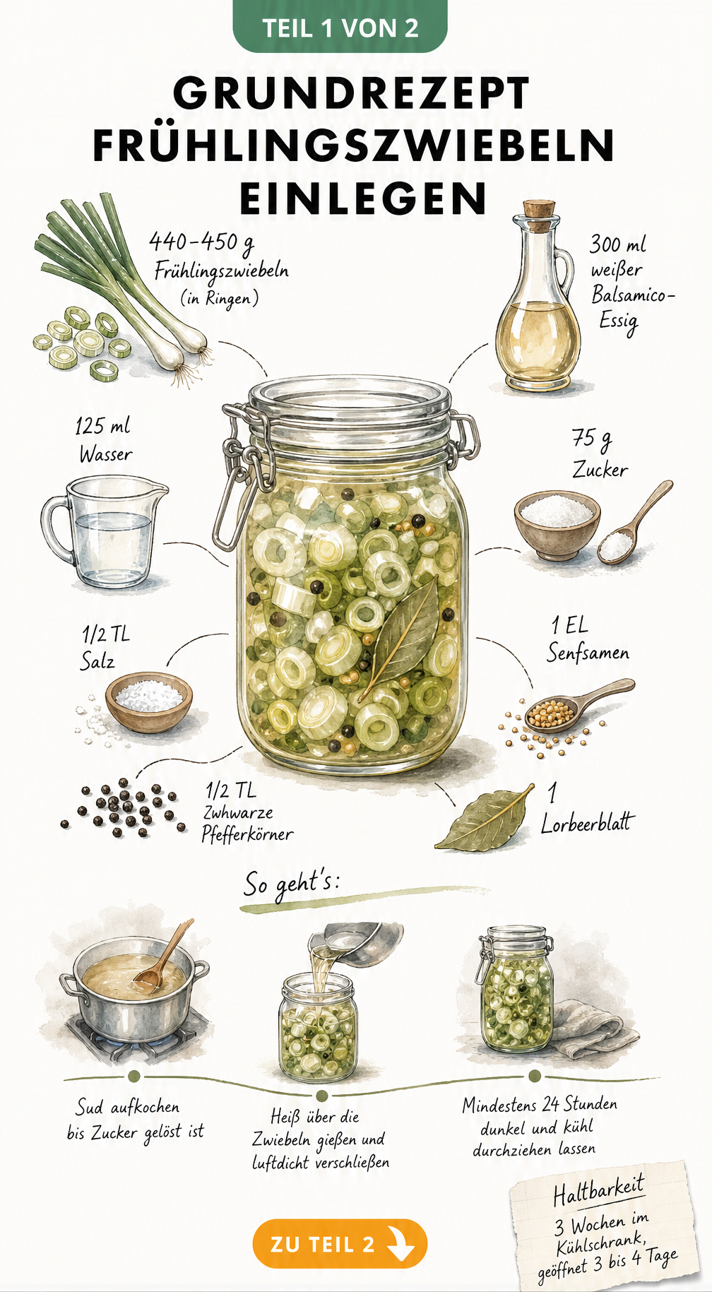 Aquarell-Illustration eines Einmachglases mit Zutaten und Mengenangaben für eingelegte Frühlingszwiebeln