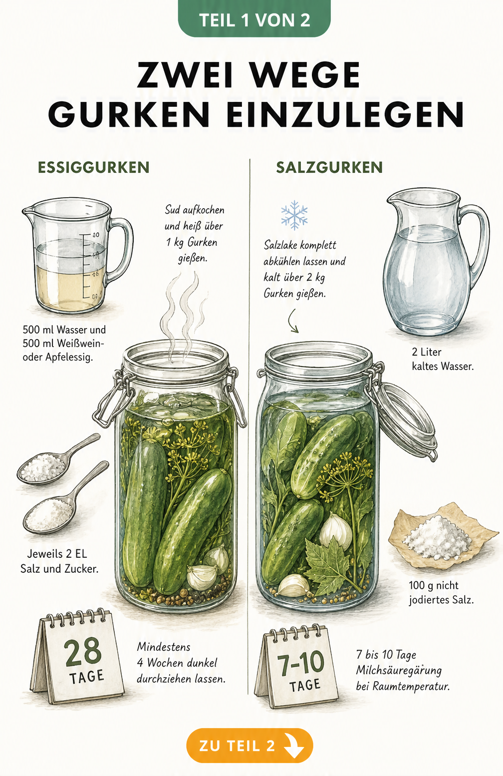Illustration von zwei Einmachgläsern, die die Essig-Methode und die Salz-Gärung zum Einlegen von Gurken zeigen