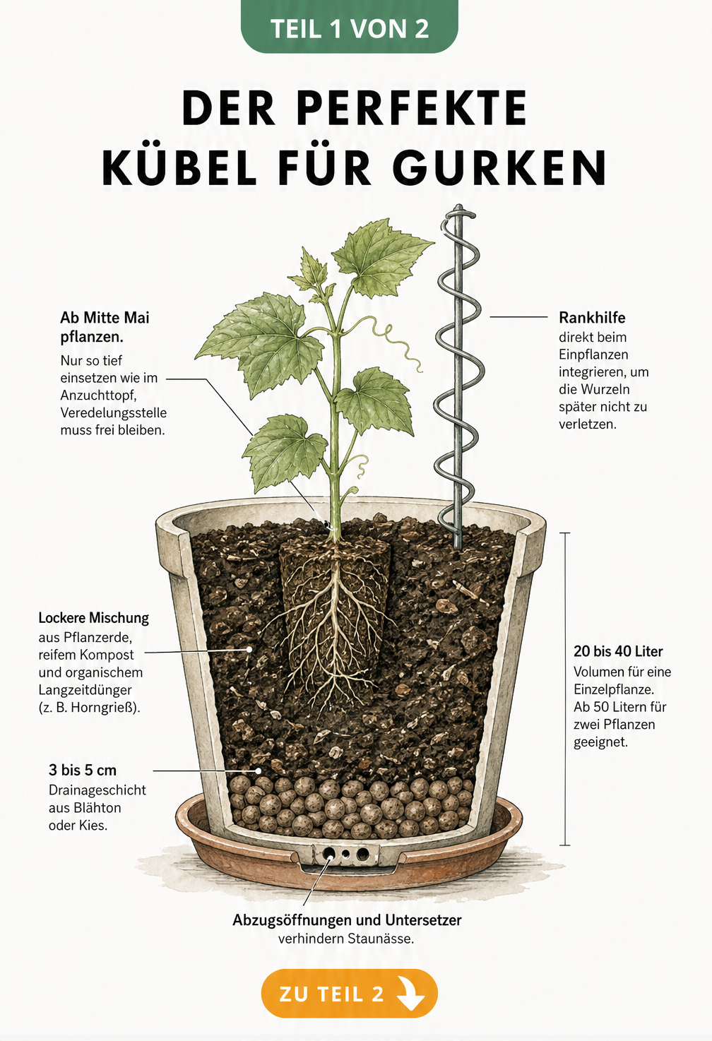 Illustration eines Pflanzkübels für Gurken mit Schichten für Drainage und Erde sowie einer Rankhilfe