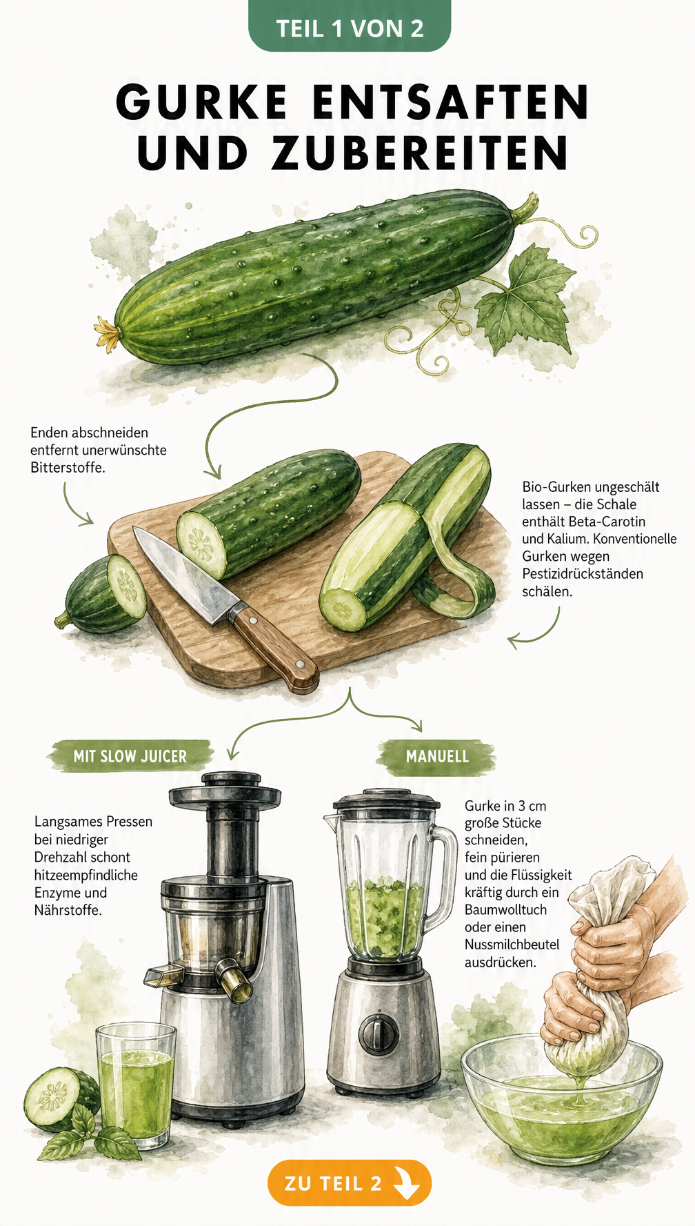 Illustration einer Gurke, die auf einem Schneidebrett vorbereitet wird, sowie Methoden zur Saftgewinnung mit Slow Juicer und Standmixer.