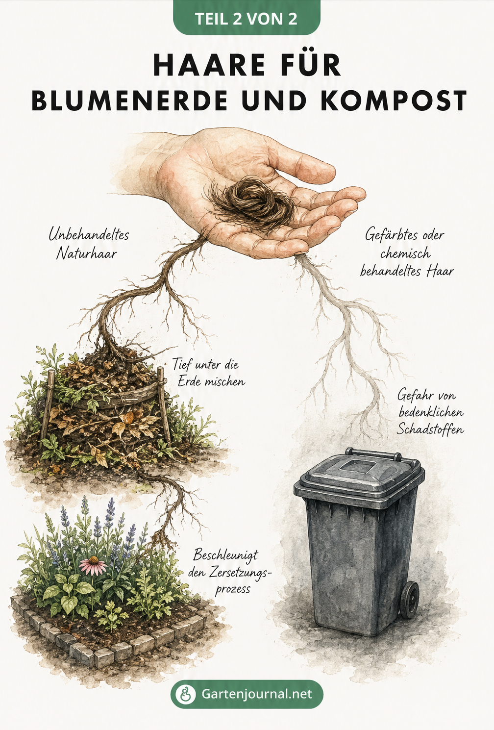 Illustration einer Hand mit Haaren, die entweder auf den Kompost oder in den Restmüll wandern.