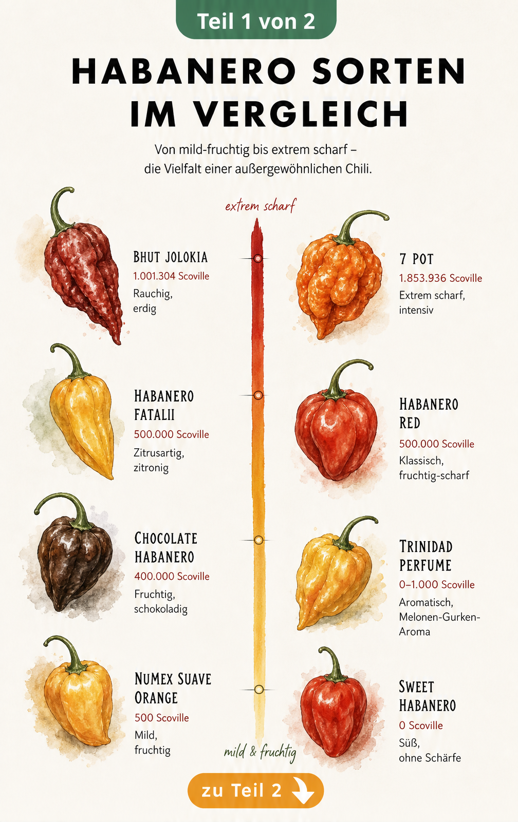 Botanische Übersichtstafel verschiedener Habanero-Sorten mit Scoville-Werten und Aromen