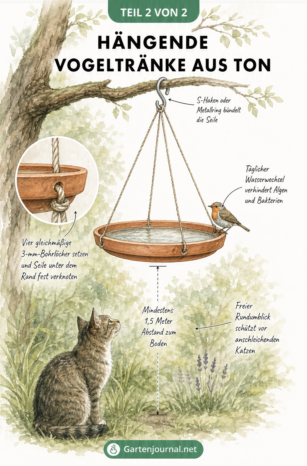 Illustration einer hängenden Vogeltränke aus einem Tonuntersetzer an einem Ast mit Katze am Boden