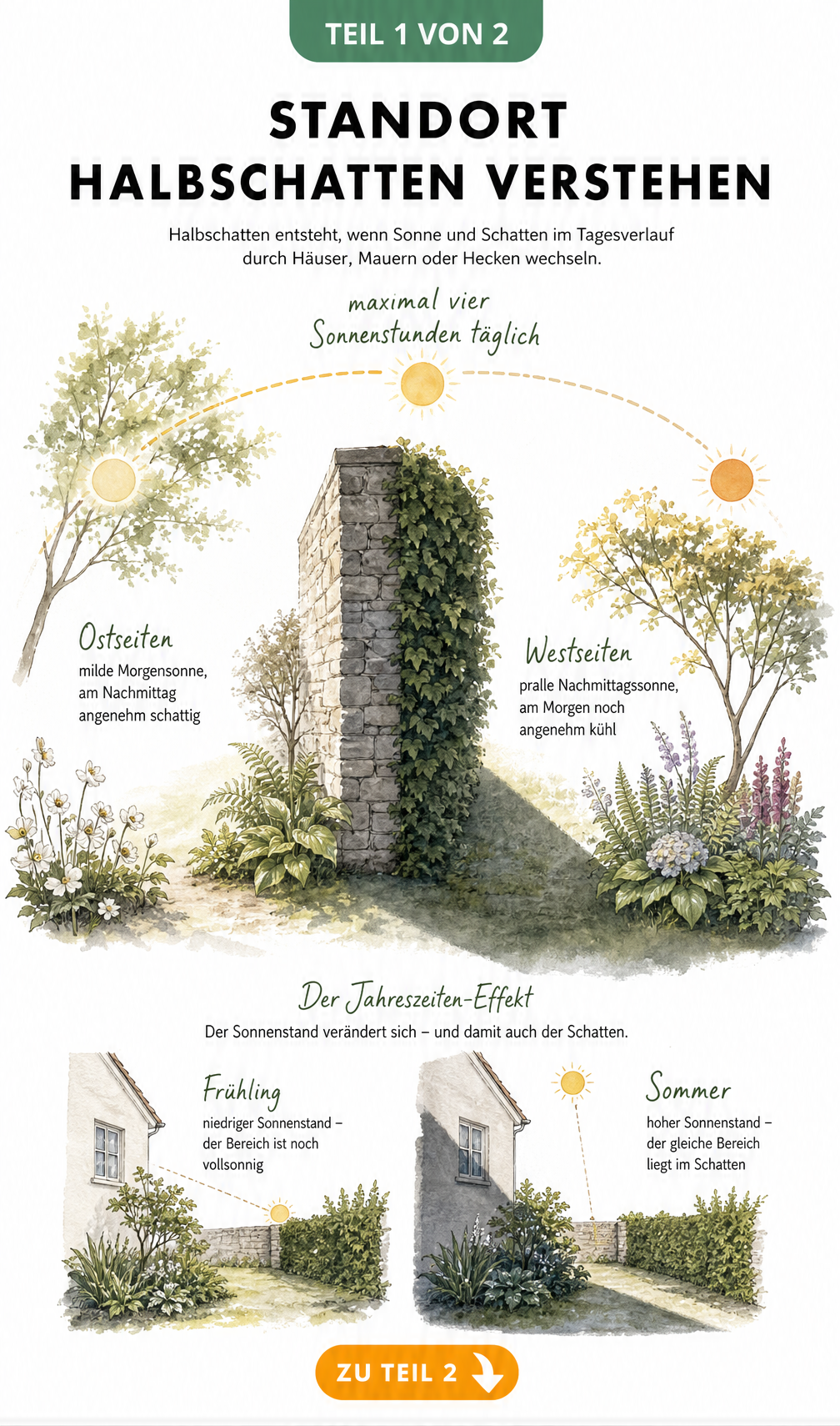Aquarell-Skizze eines Gartens im Halbschatten mit Sonnenbogen und Mauer