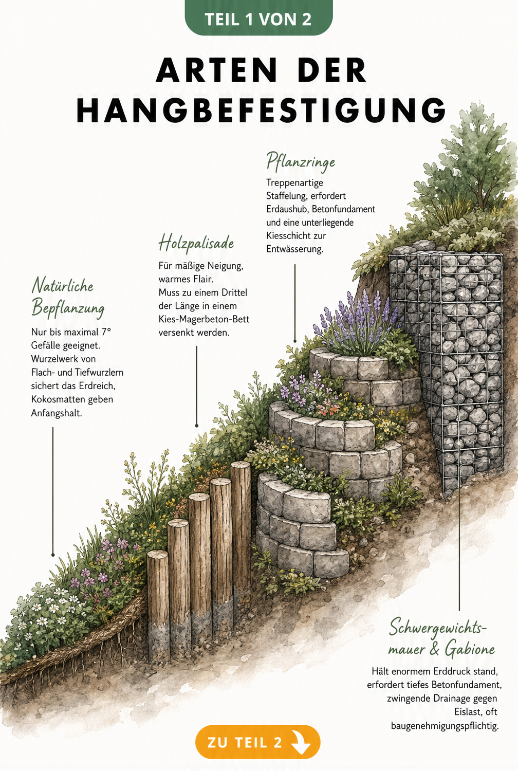 Illustration verschiedener Arten der Hangbefestigung von Bodendeckern bis zur Schwergewichtsmauer