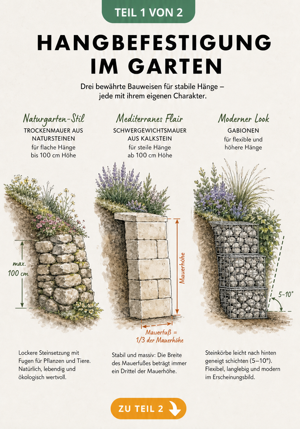 Drei Querschnitte zeigen Methoden zur Hangbefestigung: Trockenmauer für Naturgärten, Schwergewichtsmauer für mediterranes Flair und Gabionen für moderne Gärten.