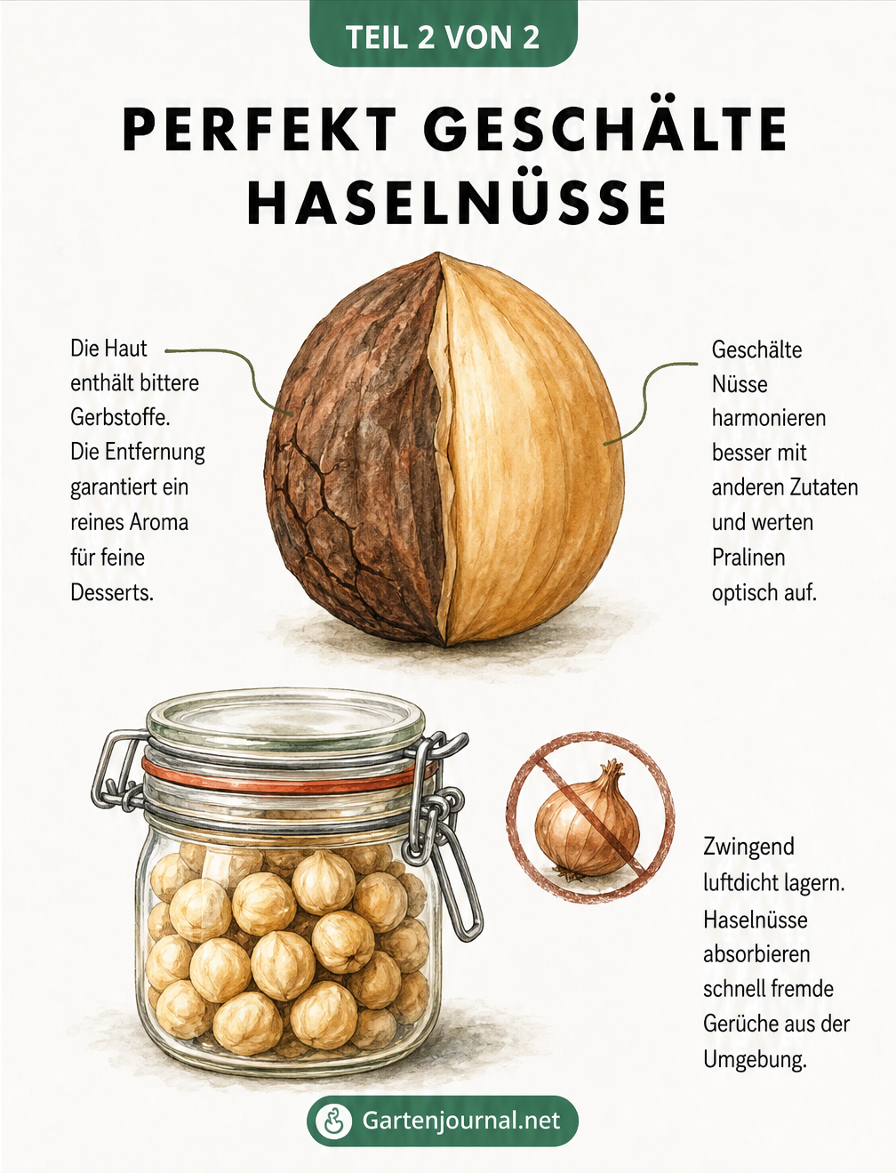 Illustration einer halb geschälten Haselnuss und eines Bügelglases zur luftdichten Lagerung.