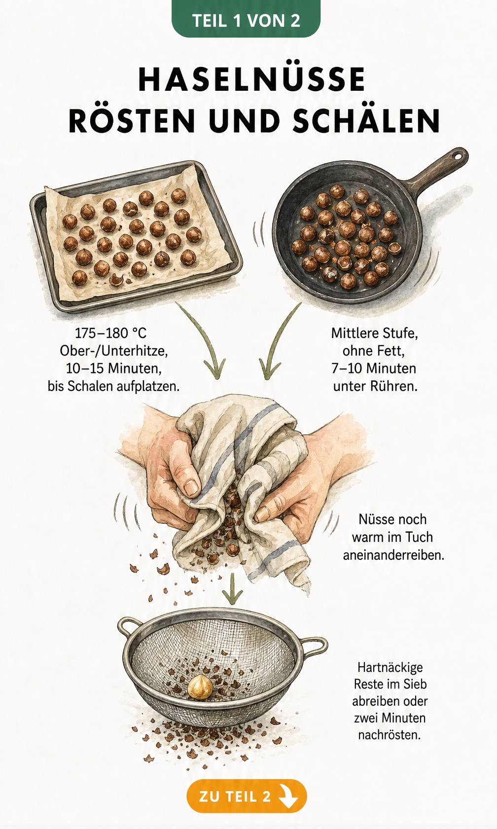 Illustration zum Rösten und Schälen von Haselnüssen im Backofen oder in der Pfanne, gefolgt vom Abreiben im Küchentuch.