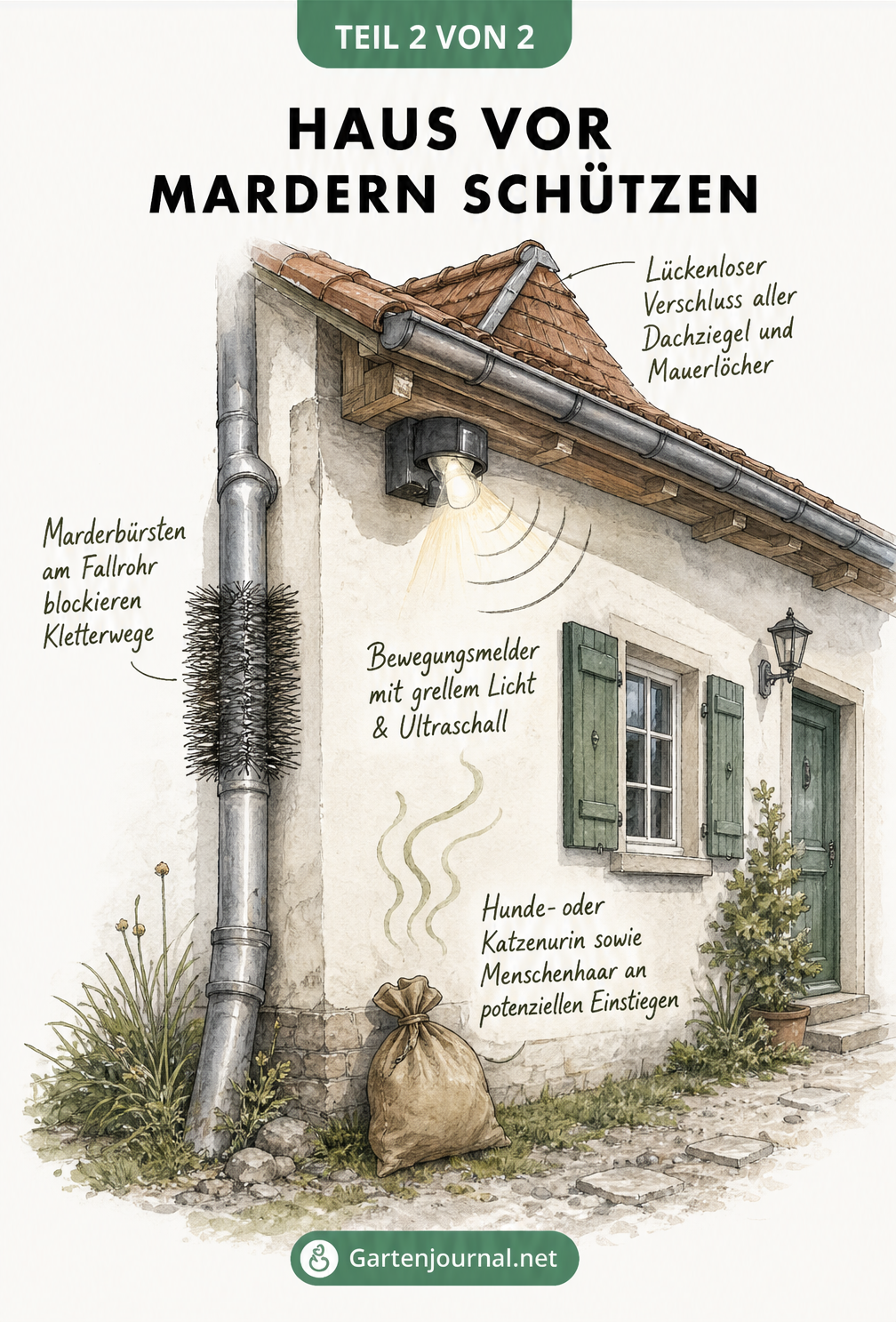 Illustration eines Hauses mit Abwehrmaßnahmen gegen Marder wie Marderbürsten, dichte Dachziegel und Bewegungsmelder