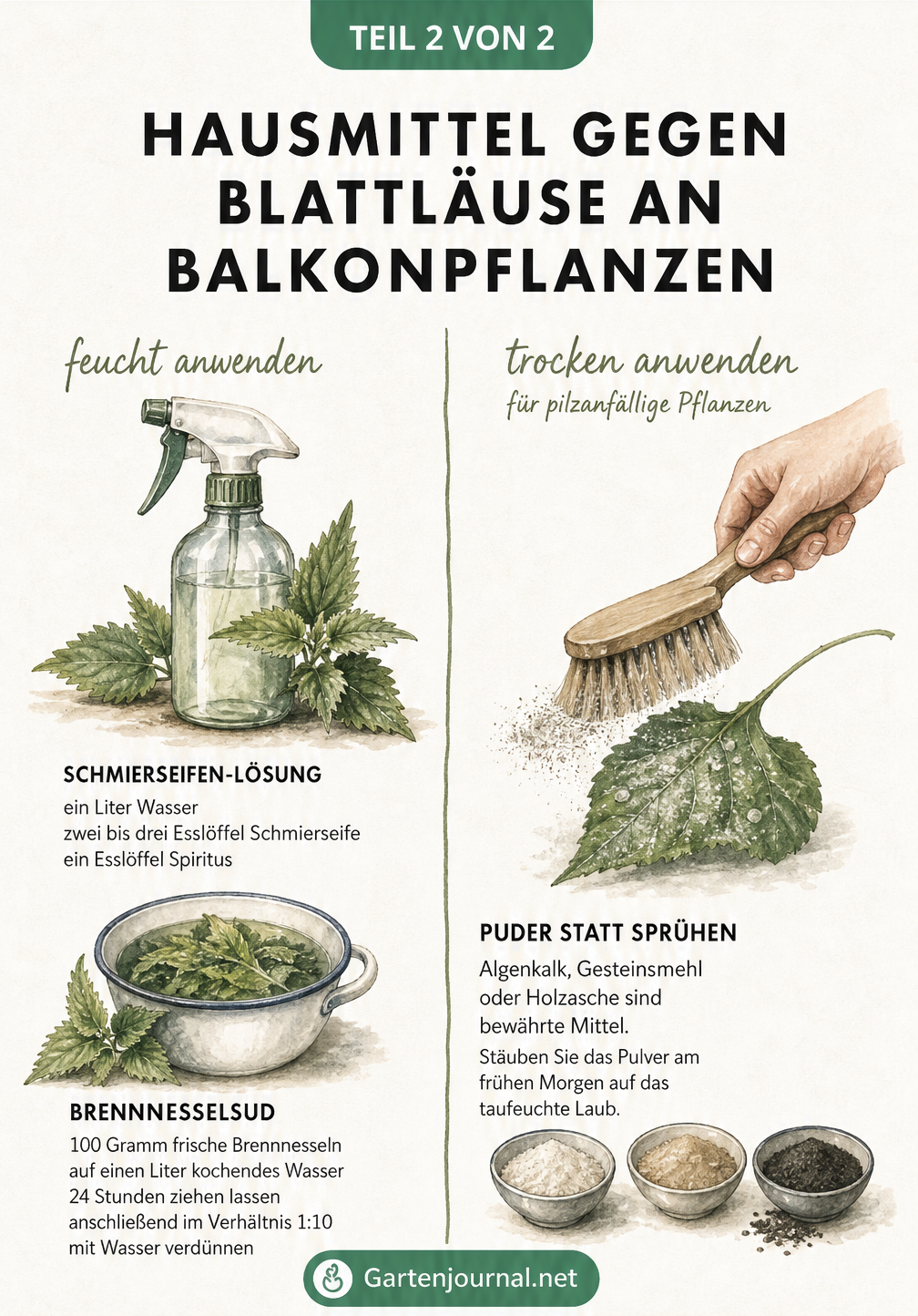 Illustration von Hausmitteln gegen Blattläuse: Schmierseifen-Lösung, Brennnesselsud und das Bestäuben mit Algenkalk oder Gesteinsmehl.