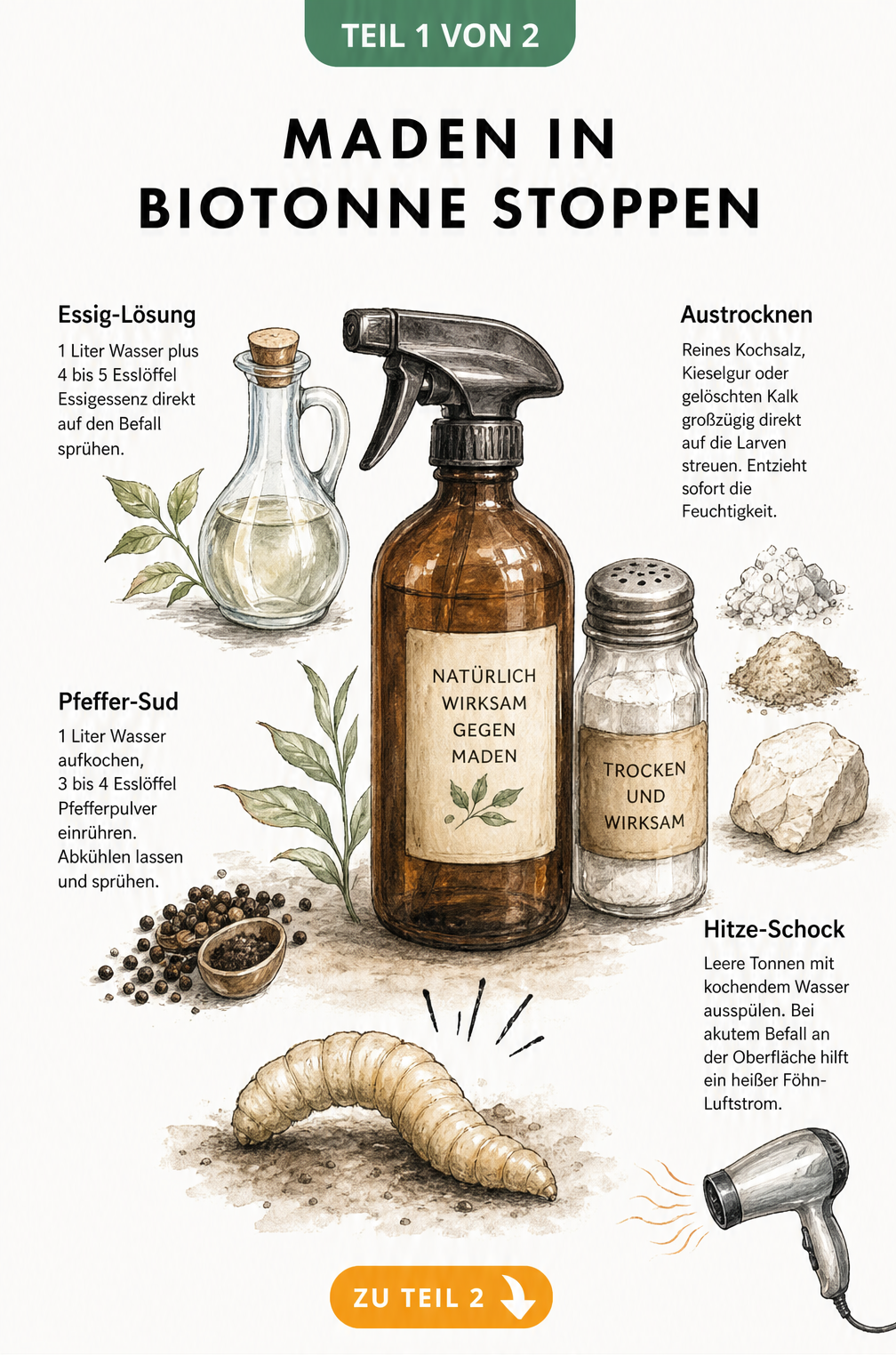 Illustration von Hausmitteln wie Essig, Pfeffer und Salz zur Bekämpfung von Maden in der Biotonne