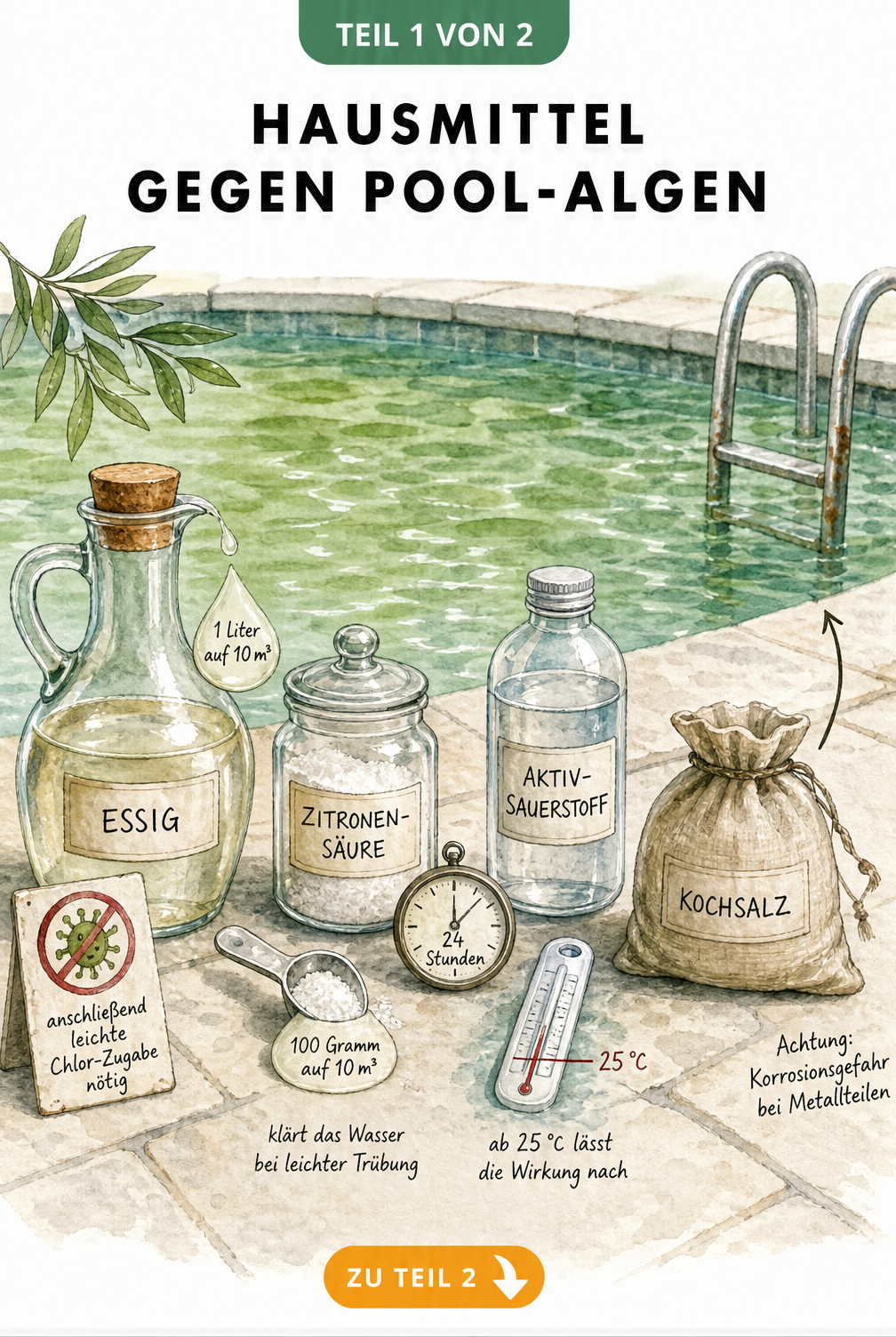 Illustration von vier Hausmitteln gegen Pool-Algen: Essig, Zitronensäure, Aktivsauerstoff und Kochsalz mit Dosierungsangaben am Beckenrand.