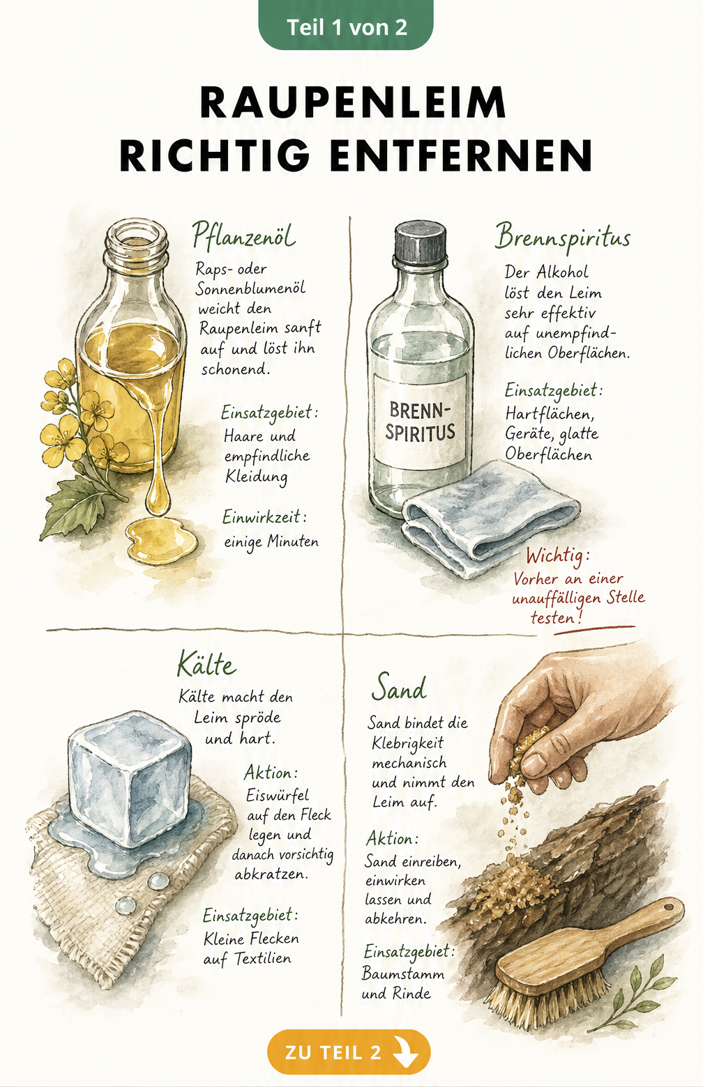 Illustration von vier Hausmitteln zum Entfernen von Raupenleim: Pflanzenöl, Brennspiritus, Eiswürfel und Sand