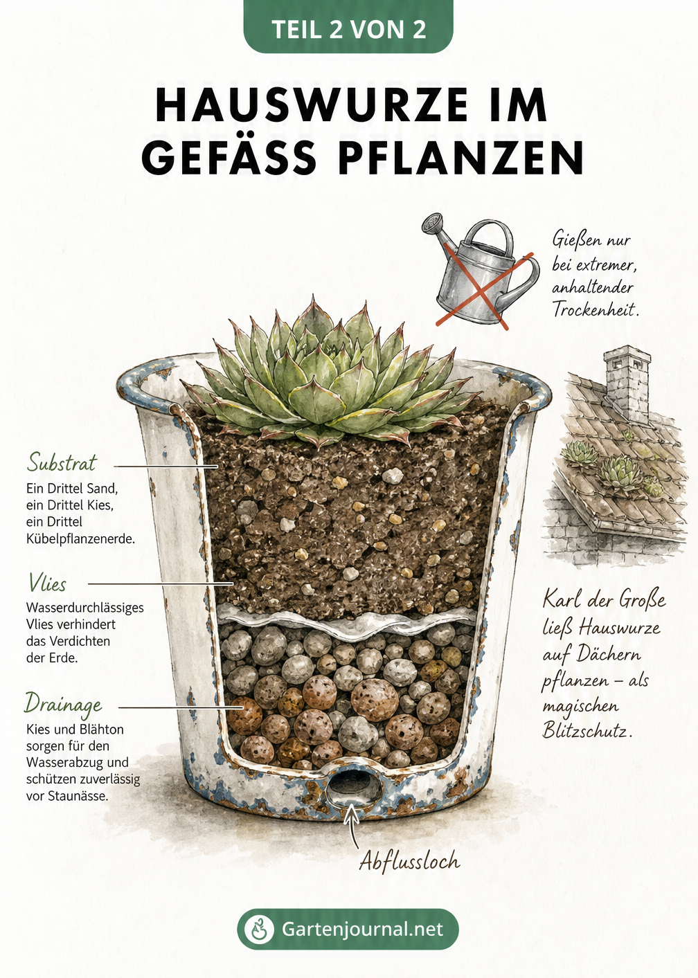 Querschnitt durch ein bepflanztes Emaillegefäß mit Hauswurz, Drainage, Vlies und Substrat