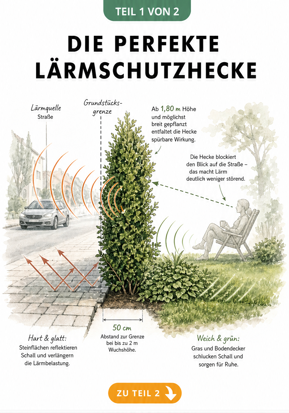 Querschnitt eines Grundstücks mit Hecke als Lärmschutz, die Schallwellen von der Straße absorbiert