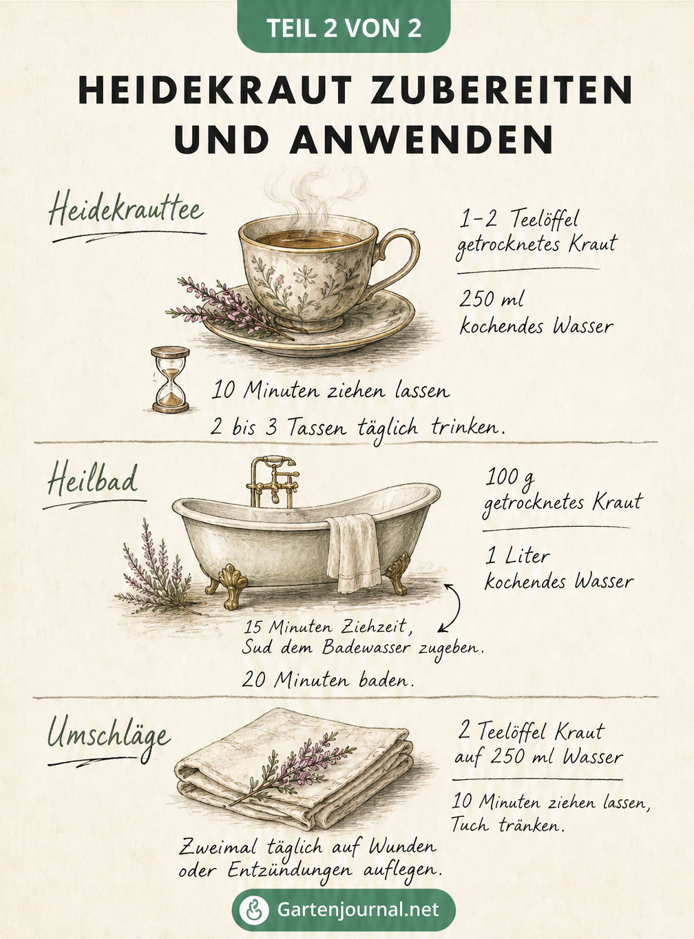 Rezeptbuch-Illustration zur Zubereitung von Heidekraut als Tee, Heilbad und Umschlag