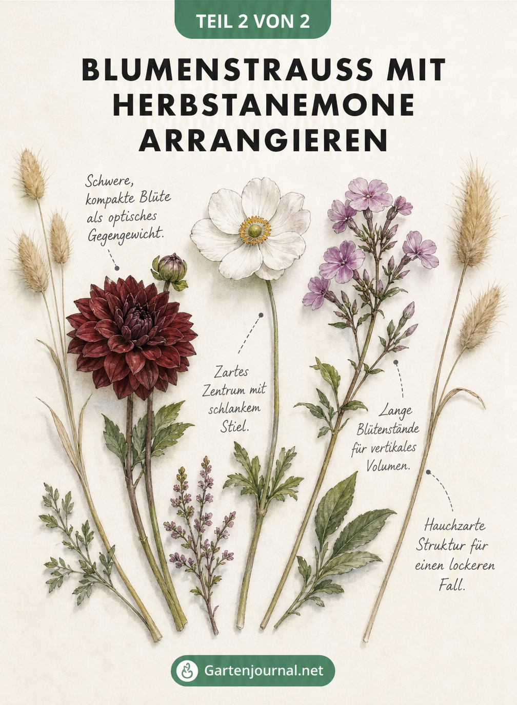 Draufsicht auf Blumen für einen Strauß mit Herbstanemone, Dahlie, Phlox und Hasenschwanzgras
