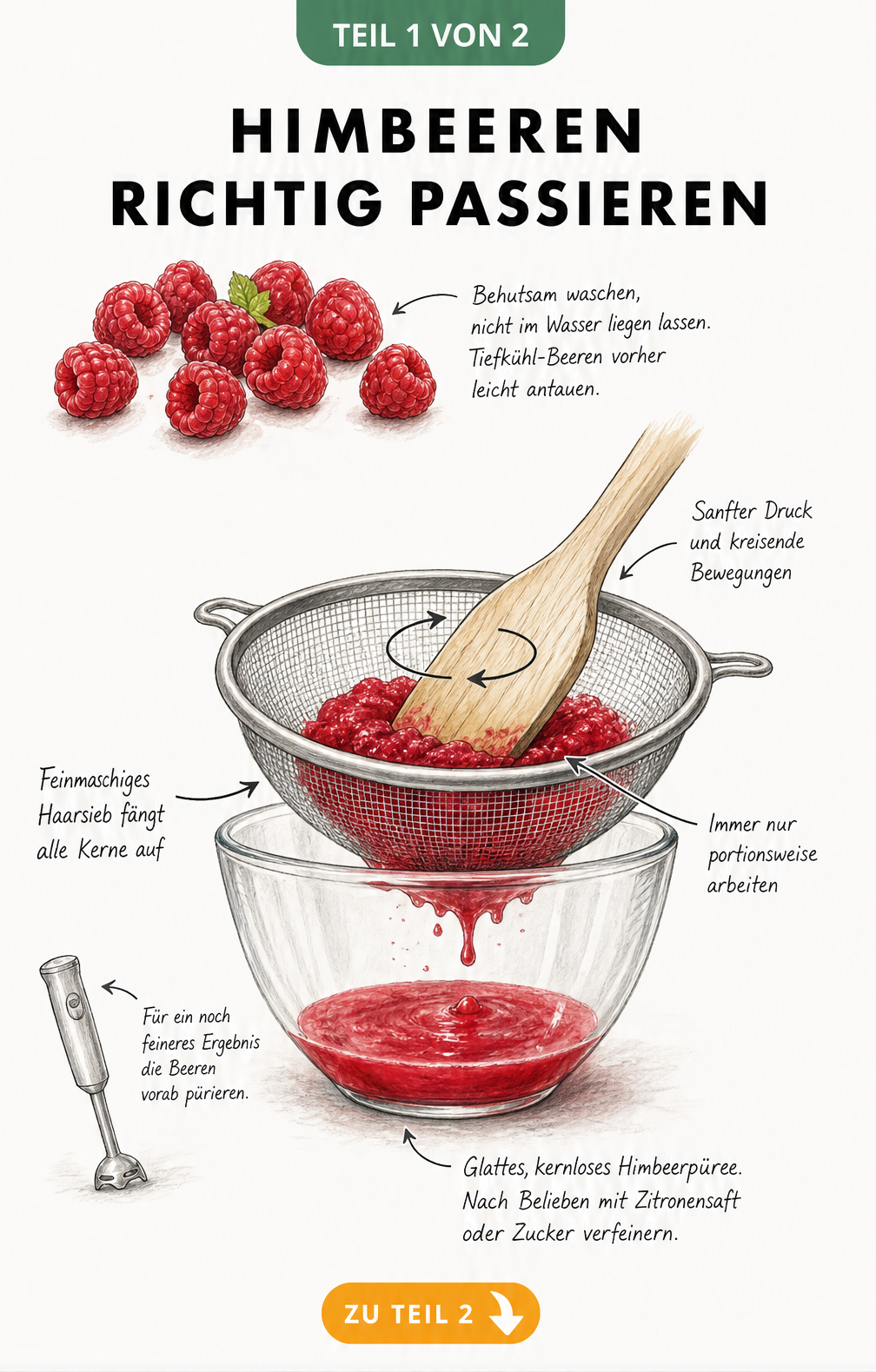 Illustration: Himbeeren durch ein feines Haarsieb passieren, um ein glattes Püree ohne Kerne zu erhalten.
