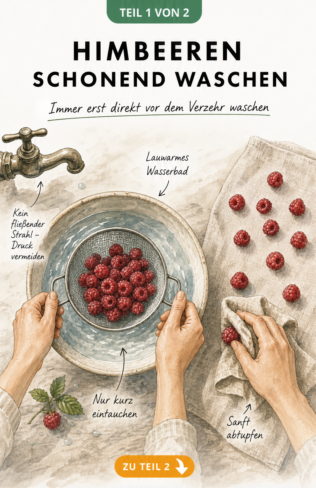 Illustration einer Schüssel mit Wasser, in die Himbeeren in einem Sieb getaucht werden, daneben ein Tuch zum Abtupfen