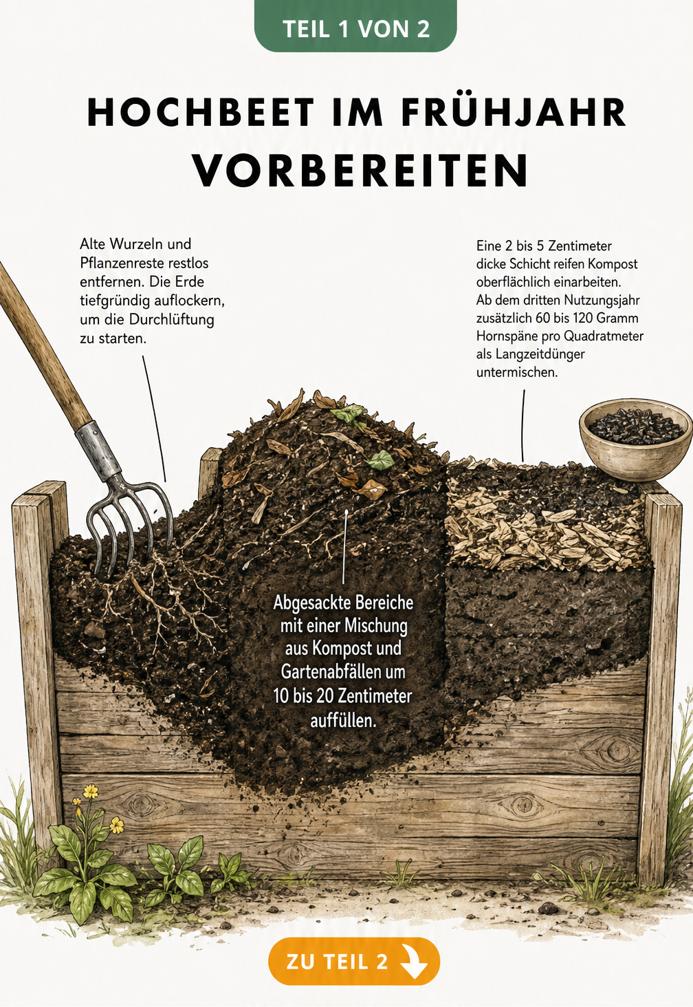 Querschnitt eines Hochbeets im Frühjahr mit Harke, frischer Erde und Kompostschicht