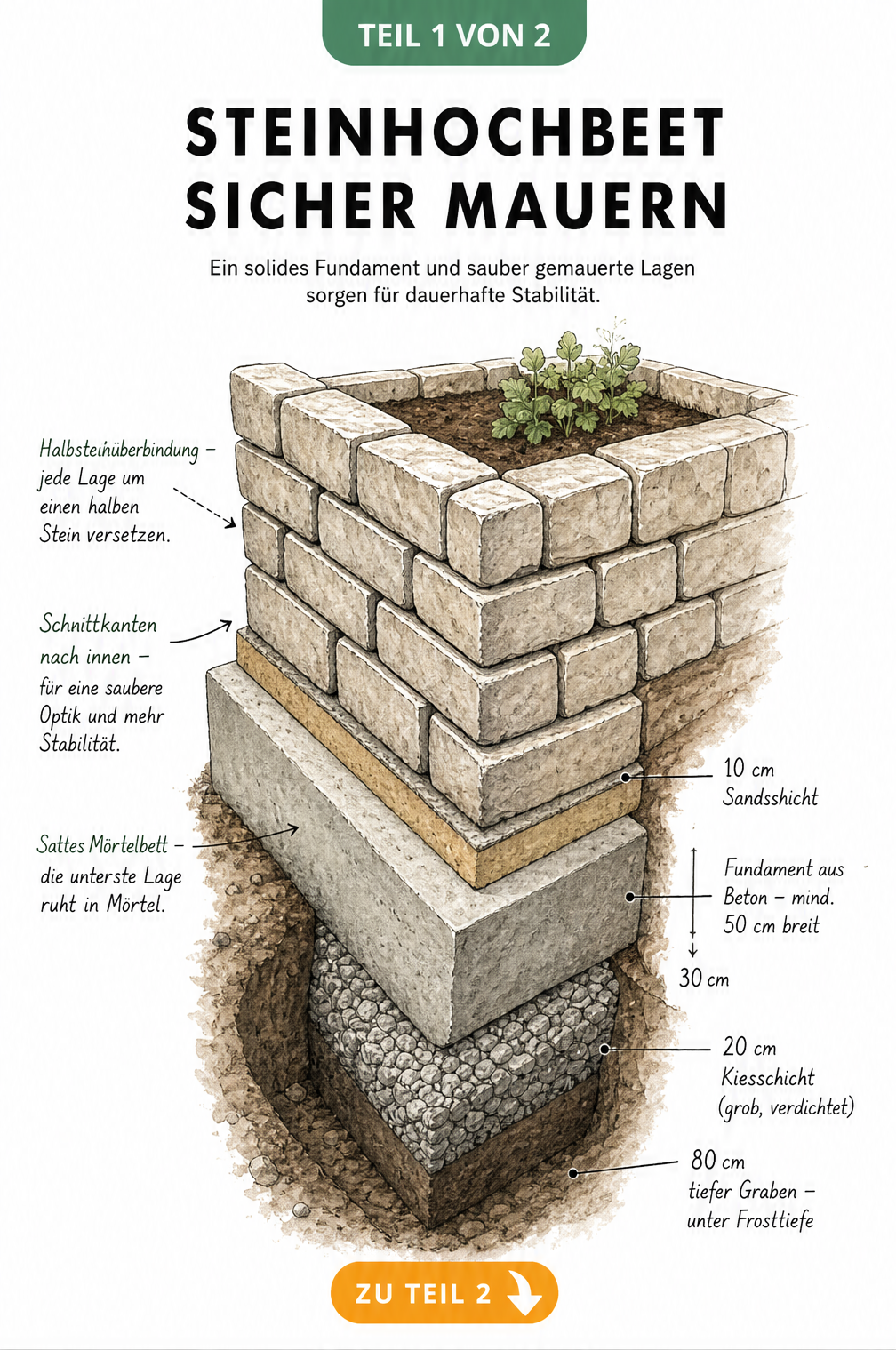 Schnittzeichnung eines Hochbeet-Fundaments mit Kiesschicht, Beton und gemauerter Steinreihe im Läuferverband