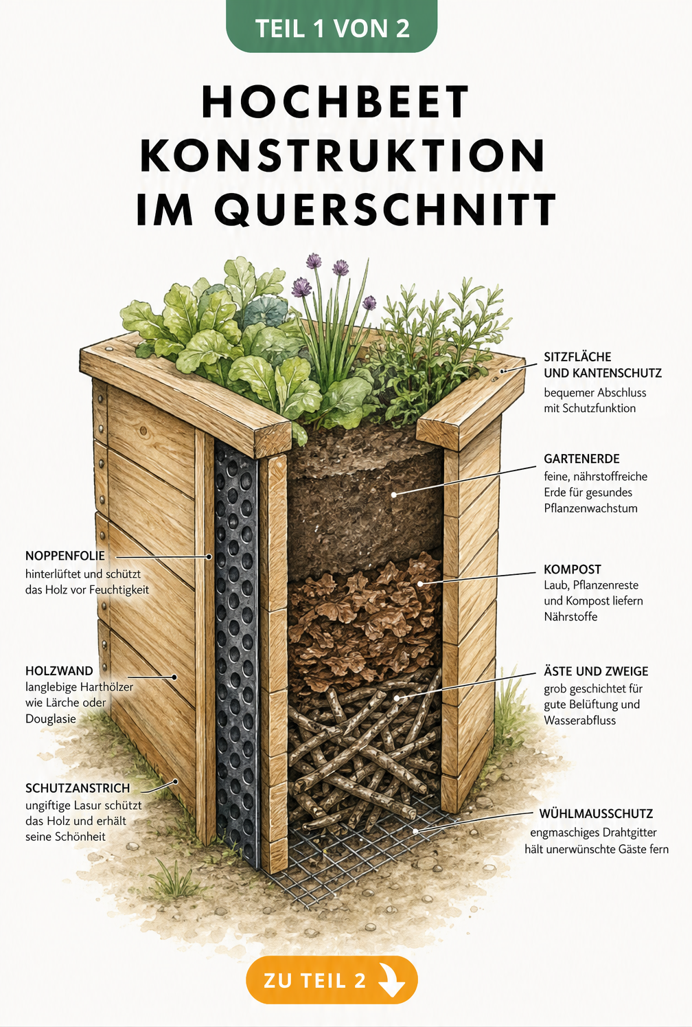 Querschnitt eines Hochbeets mit Schichten aus Ästen, Laub, Kompost und Gartenerde sowie Wühlmausschutz