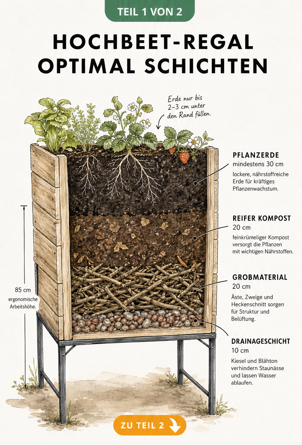 Querschnitt eines Hochbeet-Regals mit vier Erdschichten: Drainage, Grobmaterial, Kompost und Pflanzerde
