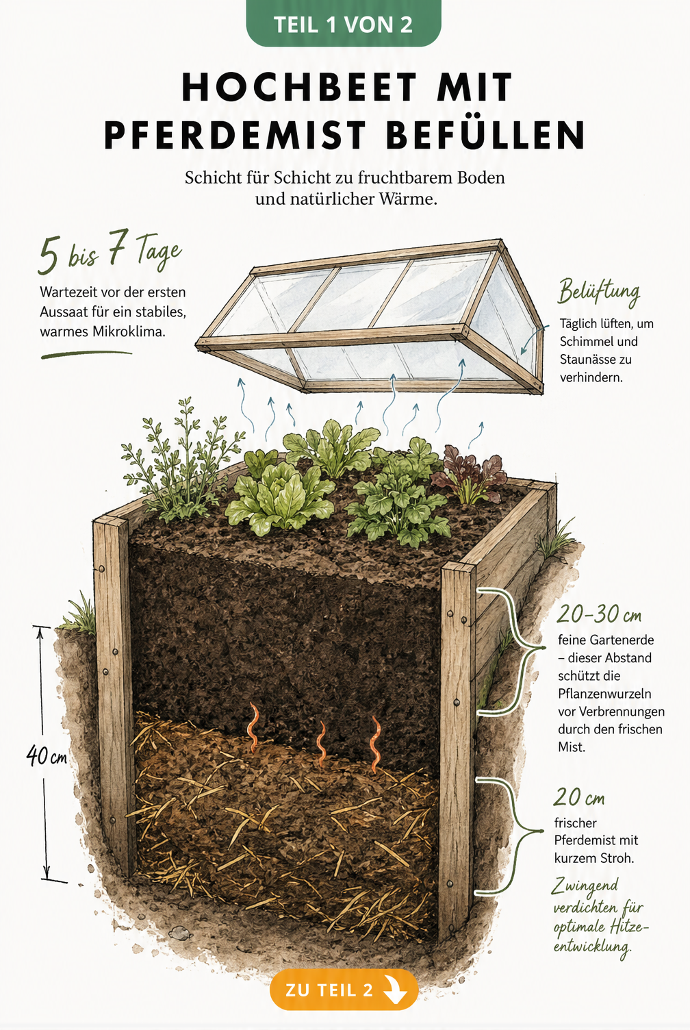 Schnittzeichnung eines Hochbeets mit Schichtaufbau aus Pferdemist und Gartenerde sowie Frühbeetabdeckung