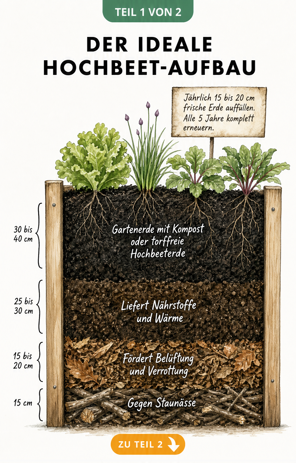 Querschnitt durch ein Hochbeet mit vier Erdschichten: Drainage, Grobmaterial, Kompost und Gartenerde.