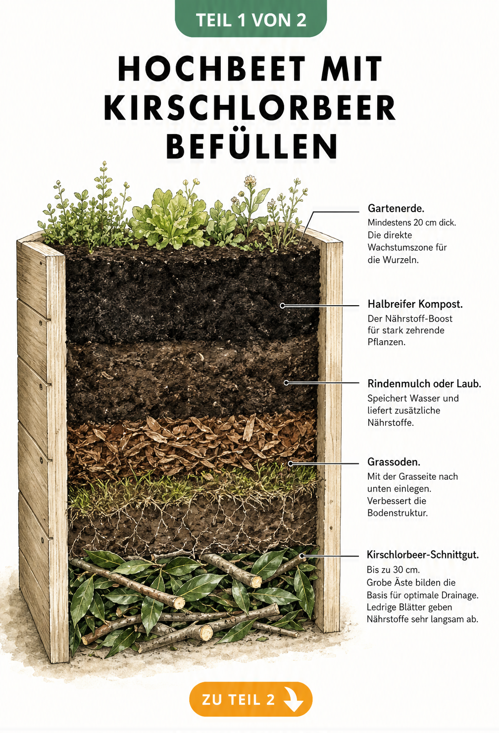 Querschnitt eines Hochbeets aus Holz mit fünf Füllschichten, beginnend mit Kirschlorbeer-Schnittgut als Basis.