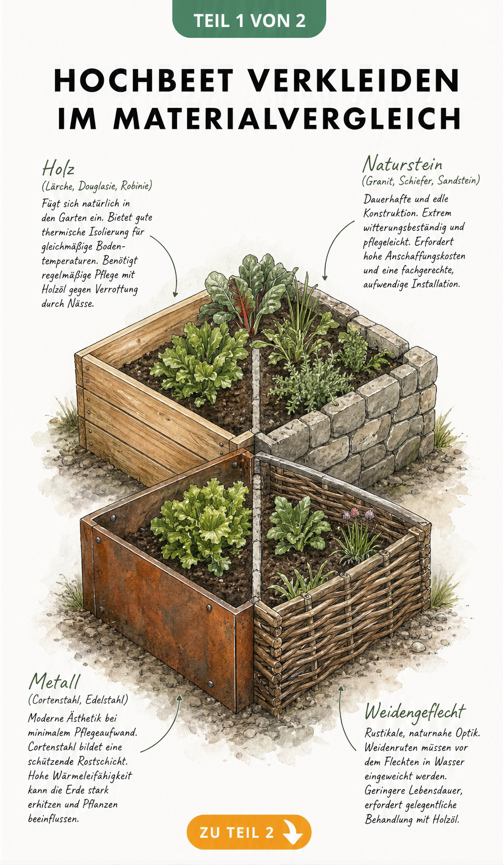 Handgezeichnete Illustration von vier Hochbeet-Ecken aus Holz, Naturstein, Metall und Weidengeflecht im Materialvergleich.