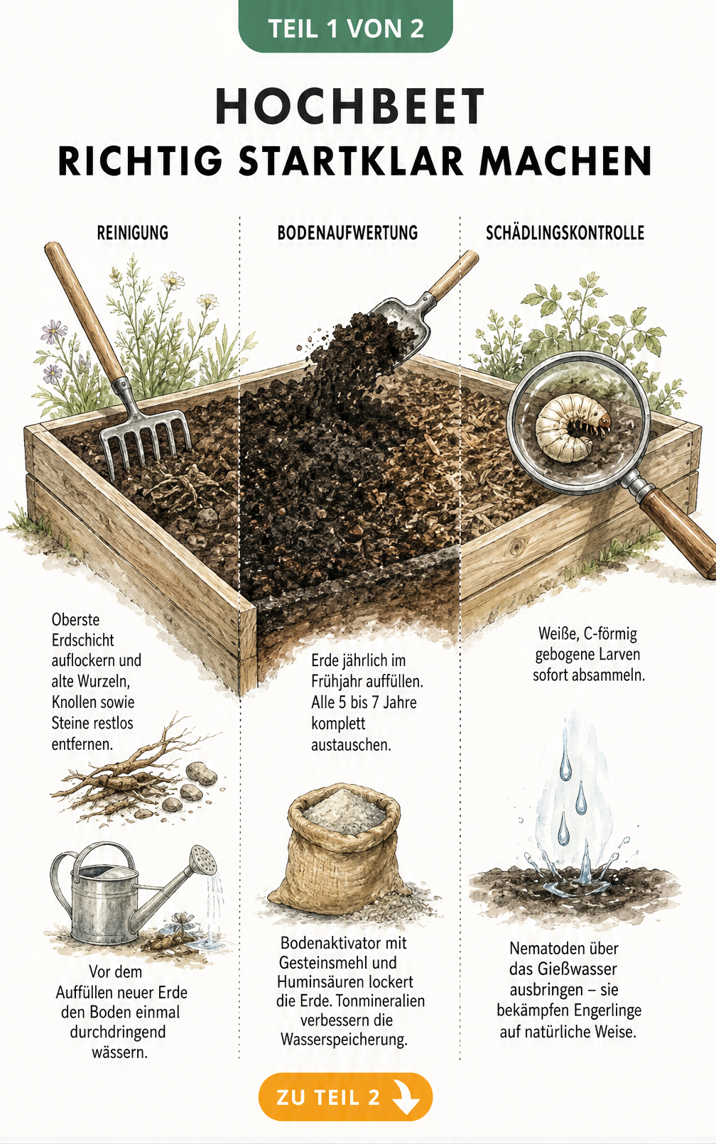 Illustration eines Hochbeets mit Tipps zur Reinigung, Bodenaufwertung und Schädlingskontrolle von Engerlingen