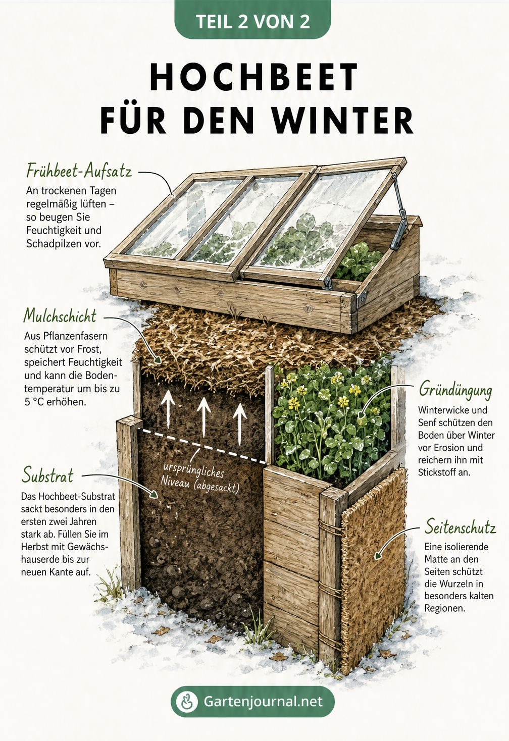 Querschnitt eines Hochbeets im Winter mit Frühbeet-Aufsatz, Mulchschicht und Gründüngung