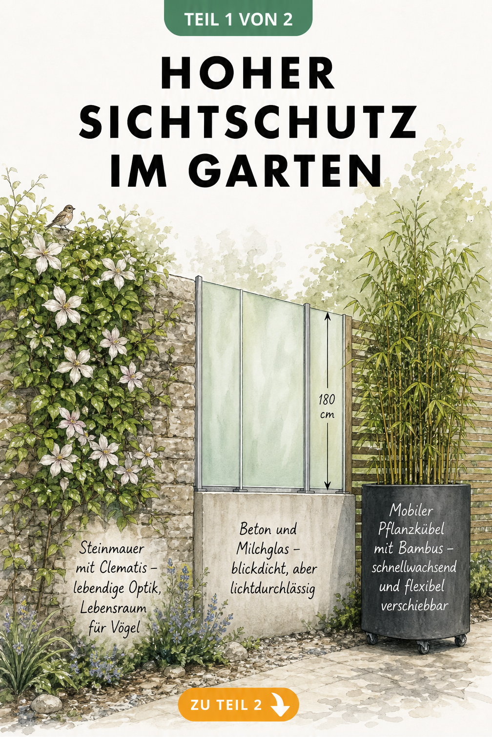 Skizze einer Grundstücksgrenze mit Steinmauer und Clematis, Beton mit Milchglas sowie Bambus im Pflanzkübel