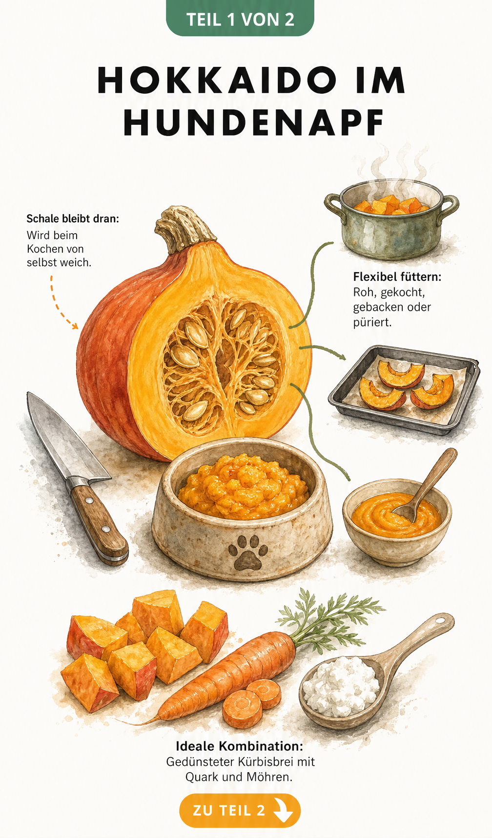Illustration eines halbierten Hokkaido-Kürbisses mit Hundenapf und Zubereitungstipps für Hunde