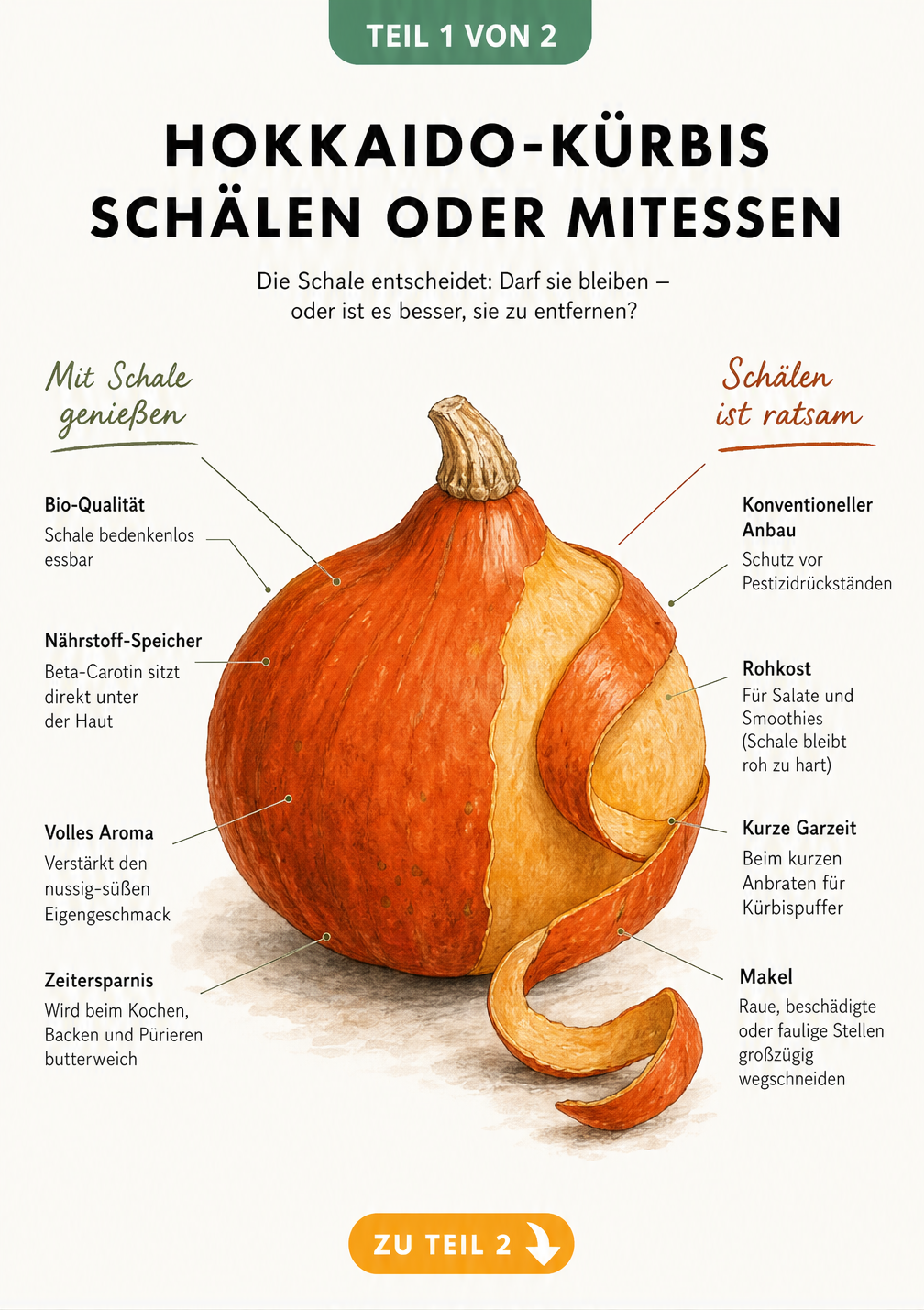 Illustration eines Hokkaido-Kürbisses, halb mit Schale, halb geschält, mit Erklärungen zu Nährstoffen und Ausnahmen für das Schälen.