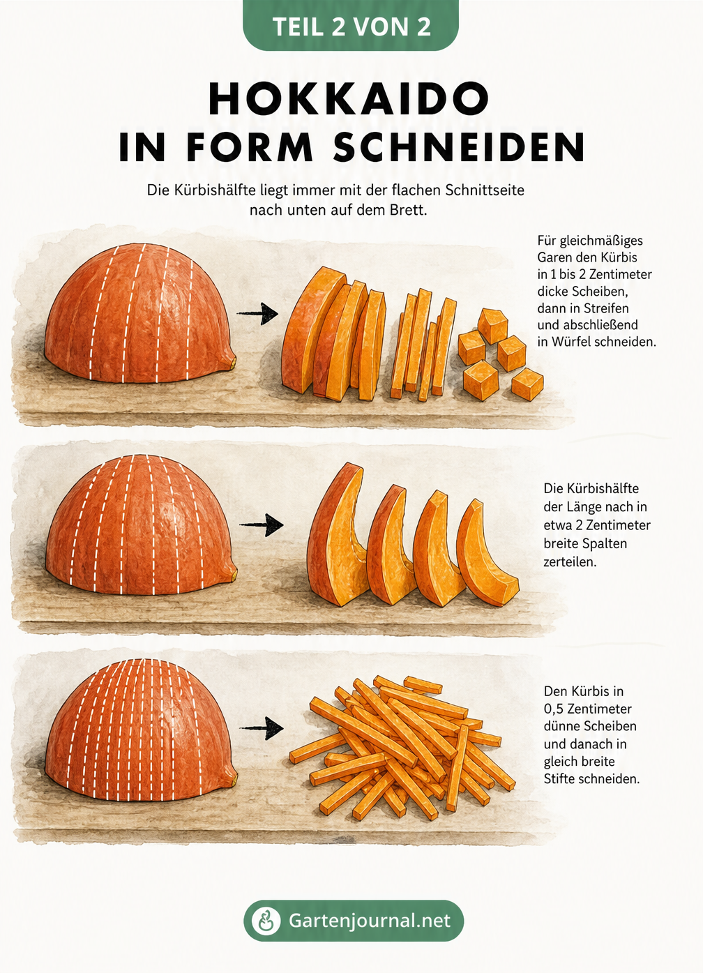 Illustration von Hokkaido-Kürbishälften, die in Würfel, Spalten und feine Stifte geschnitten werden.