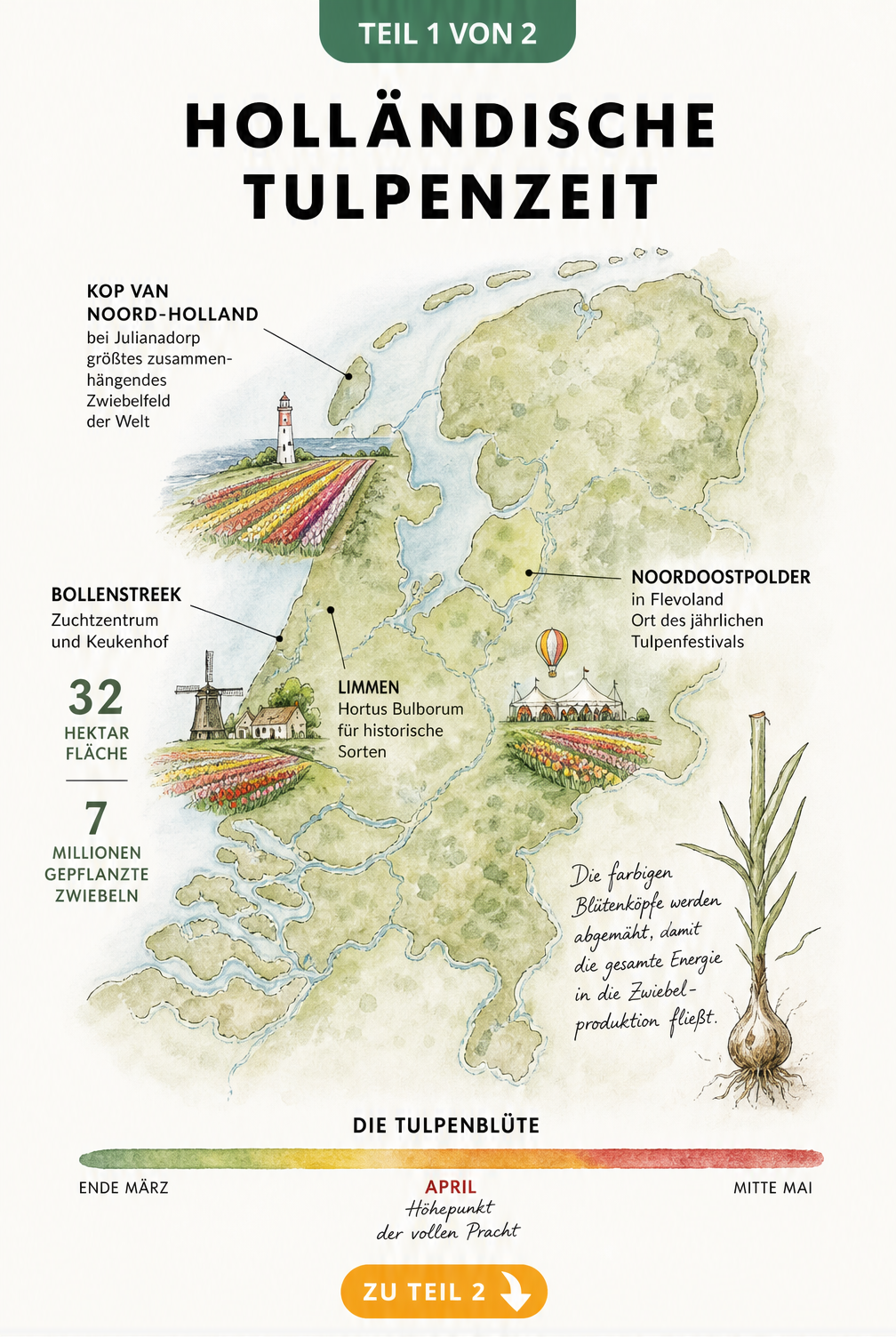 Aquarell-Landkarte der Niederlande mit den wichtigsten Regionen der Tulpenblüte wie Keukenhof und Bollenstreek