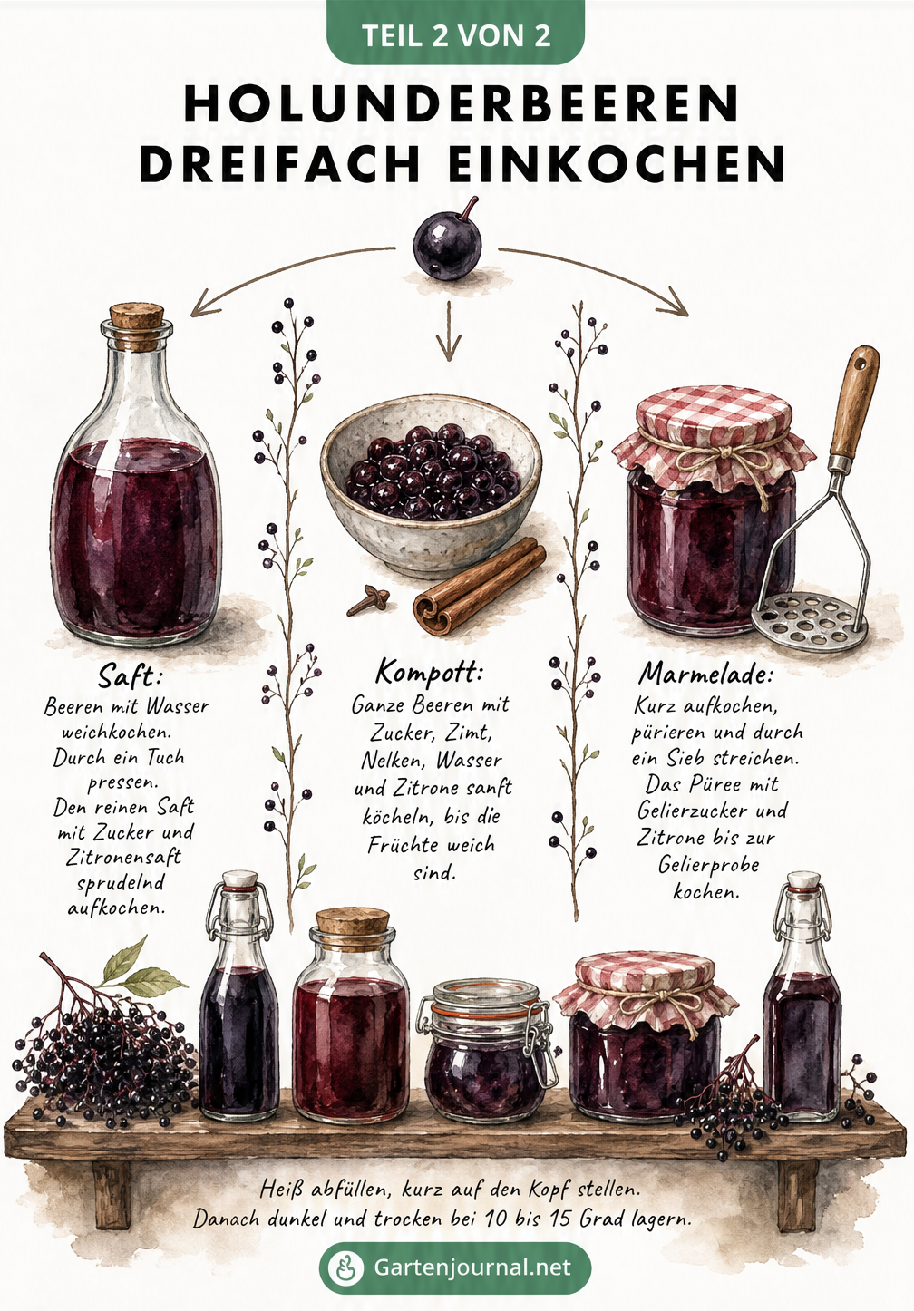 Illustration von drei Methoden zum Einkochen von Holunderbeeren: Saft in Flasche, Kompott in Schale und Marmelade im Glas