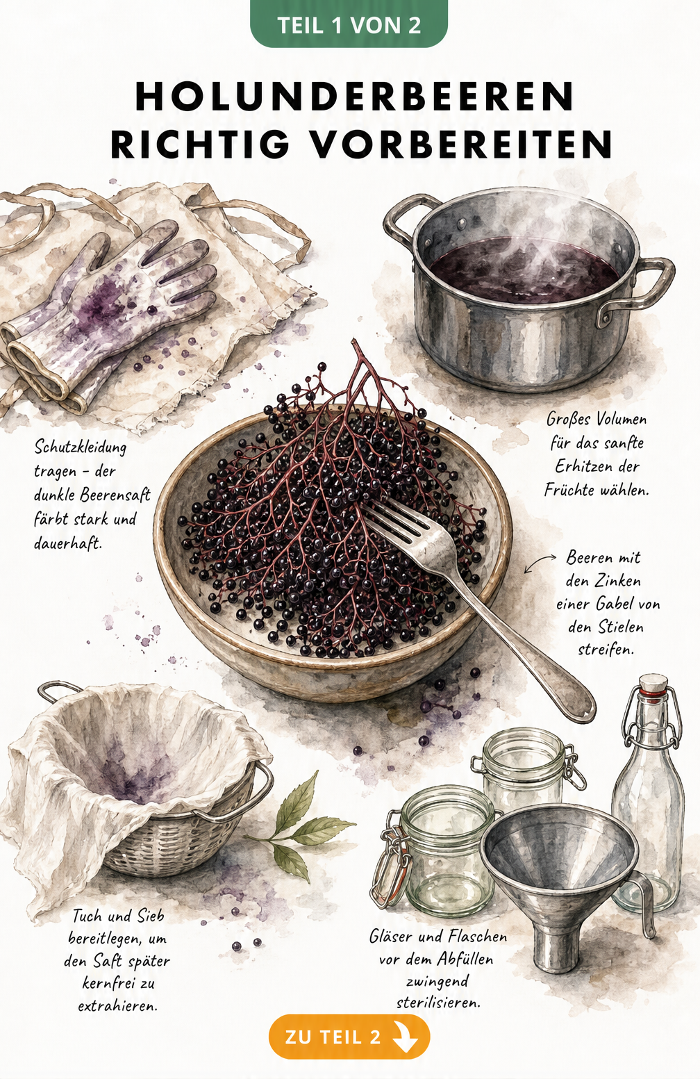 Illustration der Vorbereitung von Holunderbeeren mit Schüssel, Gabel, Handschuhen, Kochtopf, Passiertuch und Einmachgläsern