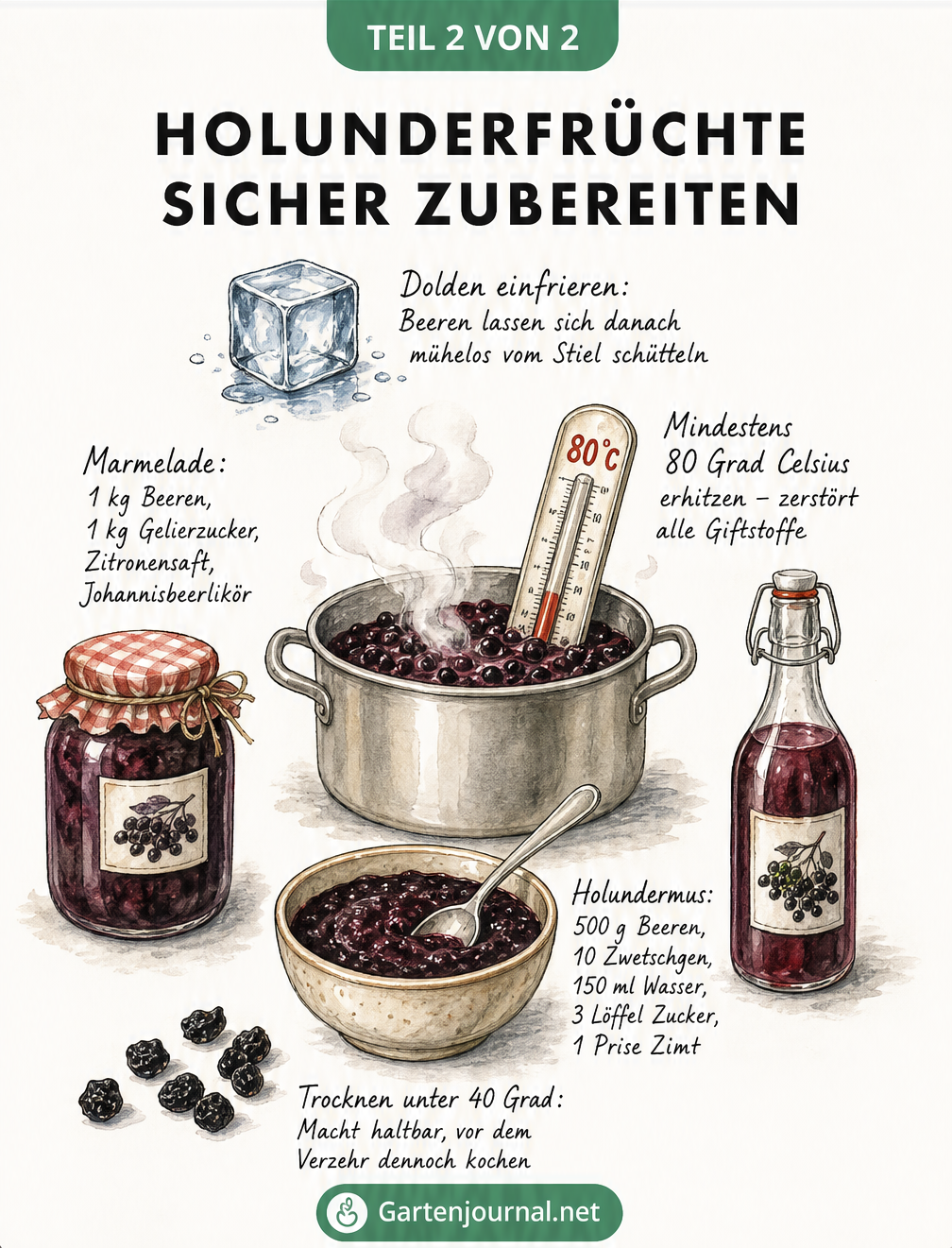 Illustration eines Kochtopfs mit Thermometer und Rezepten für Holundermarmelade, Saft und Mus