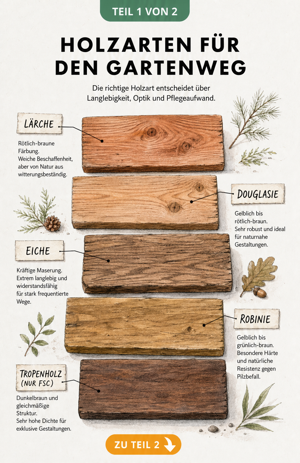 Fünf verschiedene Holzarten für Gartenwege im Vergleich: Lärche, Douglasie, Eiche, Robinie und Tropenholz mit ihren Eigenschaften