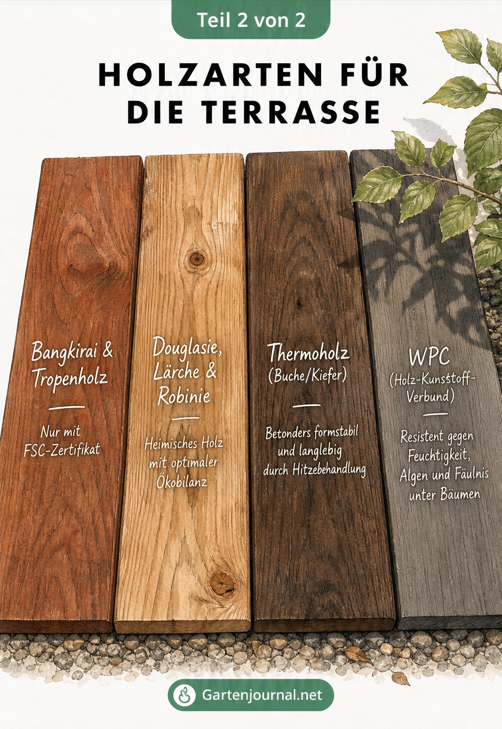 Illustration verschiedener Holzarten für Terrassendielen wie Bangkirai, Douglasie, Thermoholz und WPC